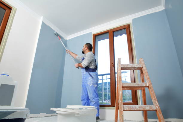 Best Basement Mold Removal  in Wagner, SD