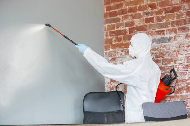 Best Post-Remediation Verification Testing  in Wagner, SD