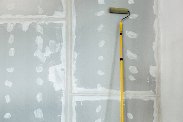 Best Biohazard Mold Removal  in Wagner, SD