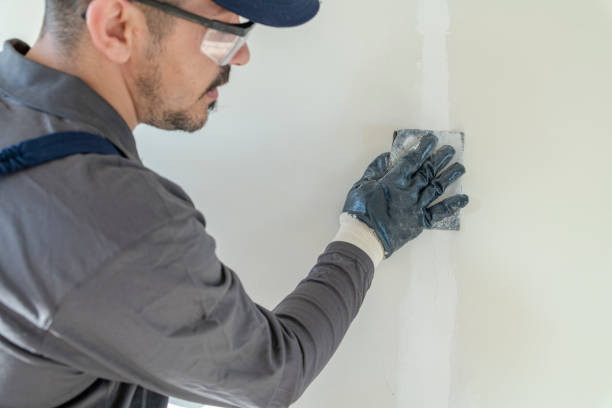 Best Black Mold Removal  in Wagner, SD